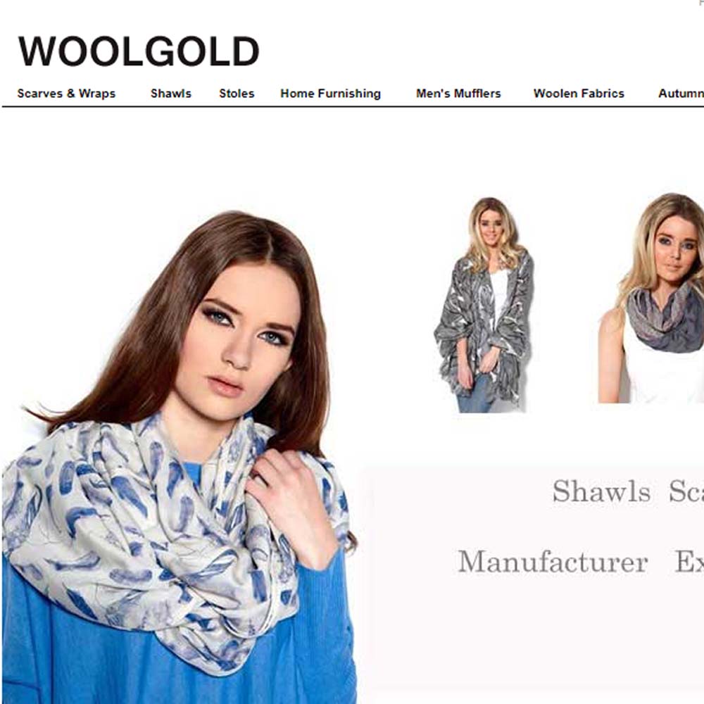 SV Web Developers, Amritsar